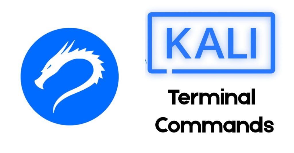 Basic kali Linux terminal commands
